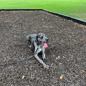 Meet your Posher, Adem